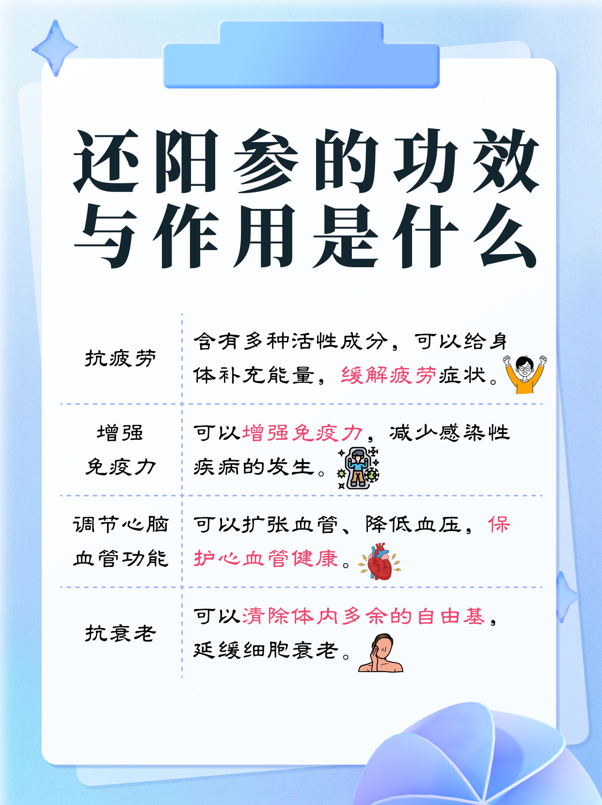 一种传统中药材,其根部经过精心炮制与干燥后,展现出丰富的药用价值