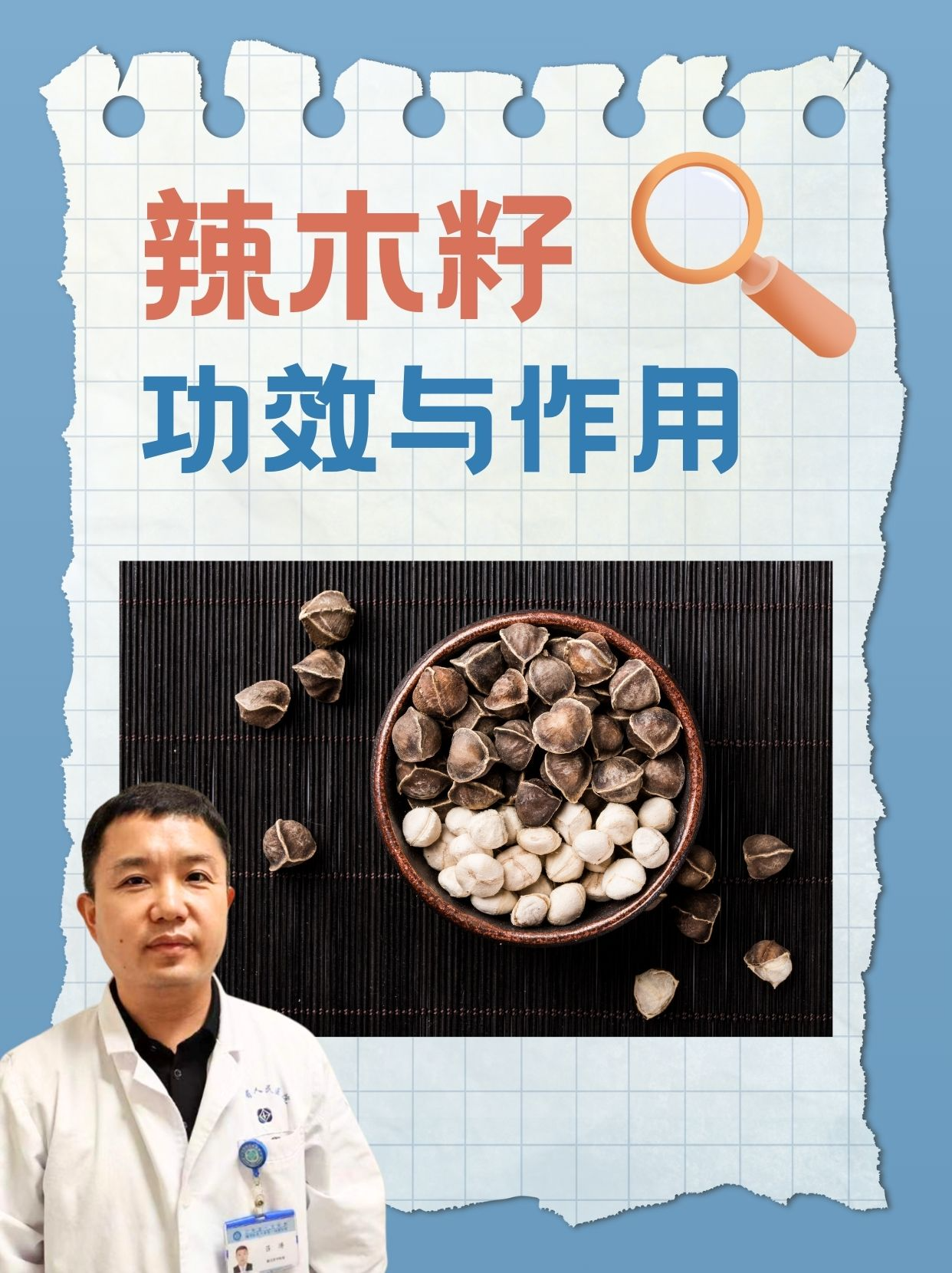 辣木籽的功效与作用 辣木籽是辣木树的种子,也被称为辣木豆,具有多种