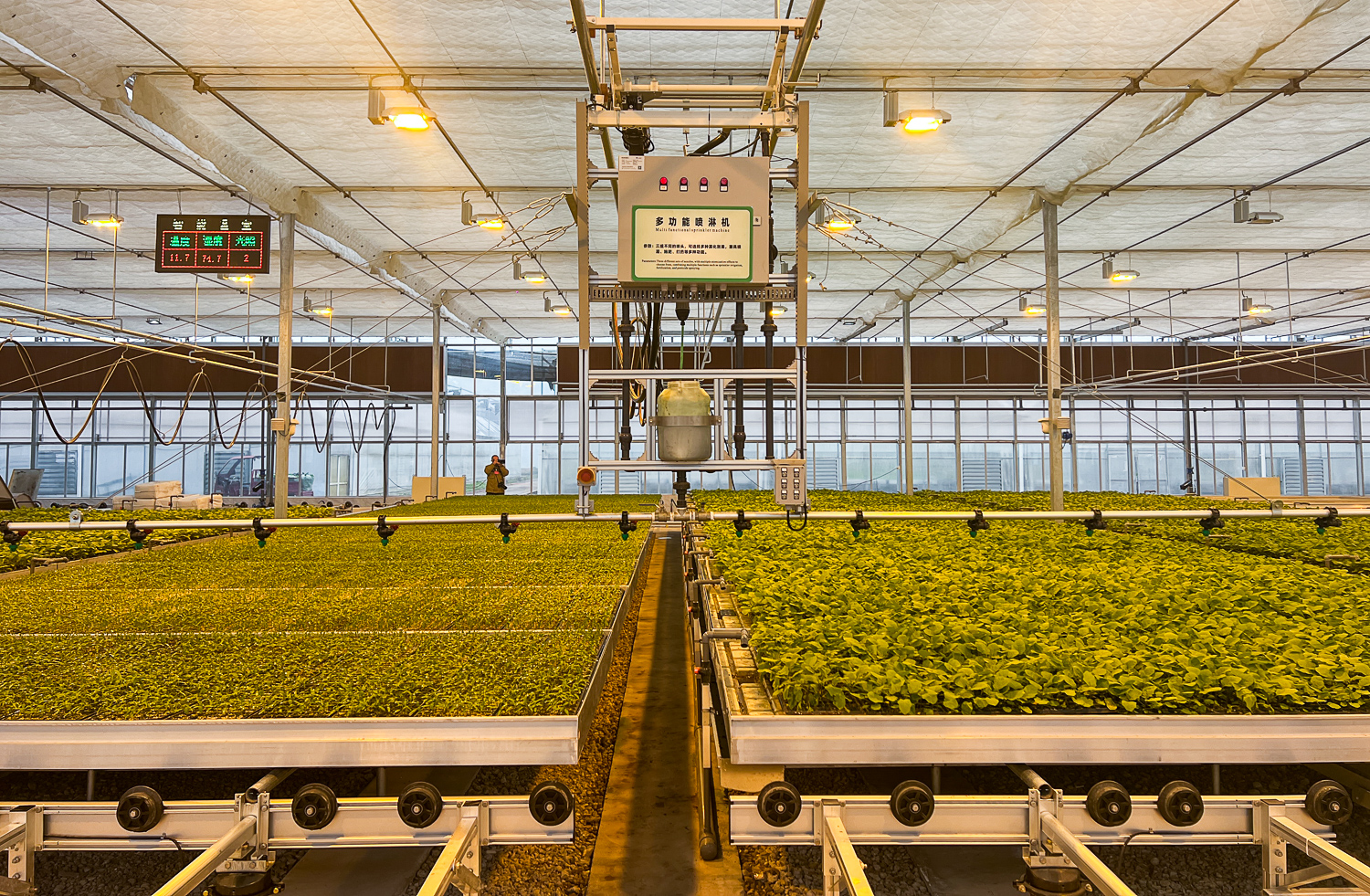 万万没想到,重庆的数字种苗工厂竟然已经如此先进了!