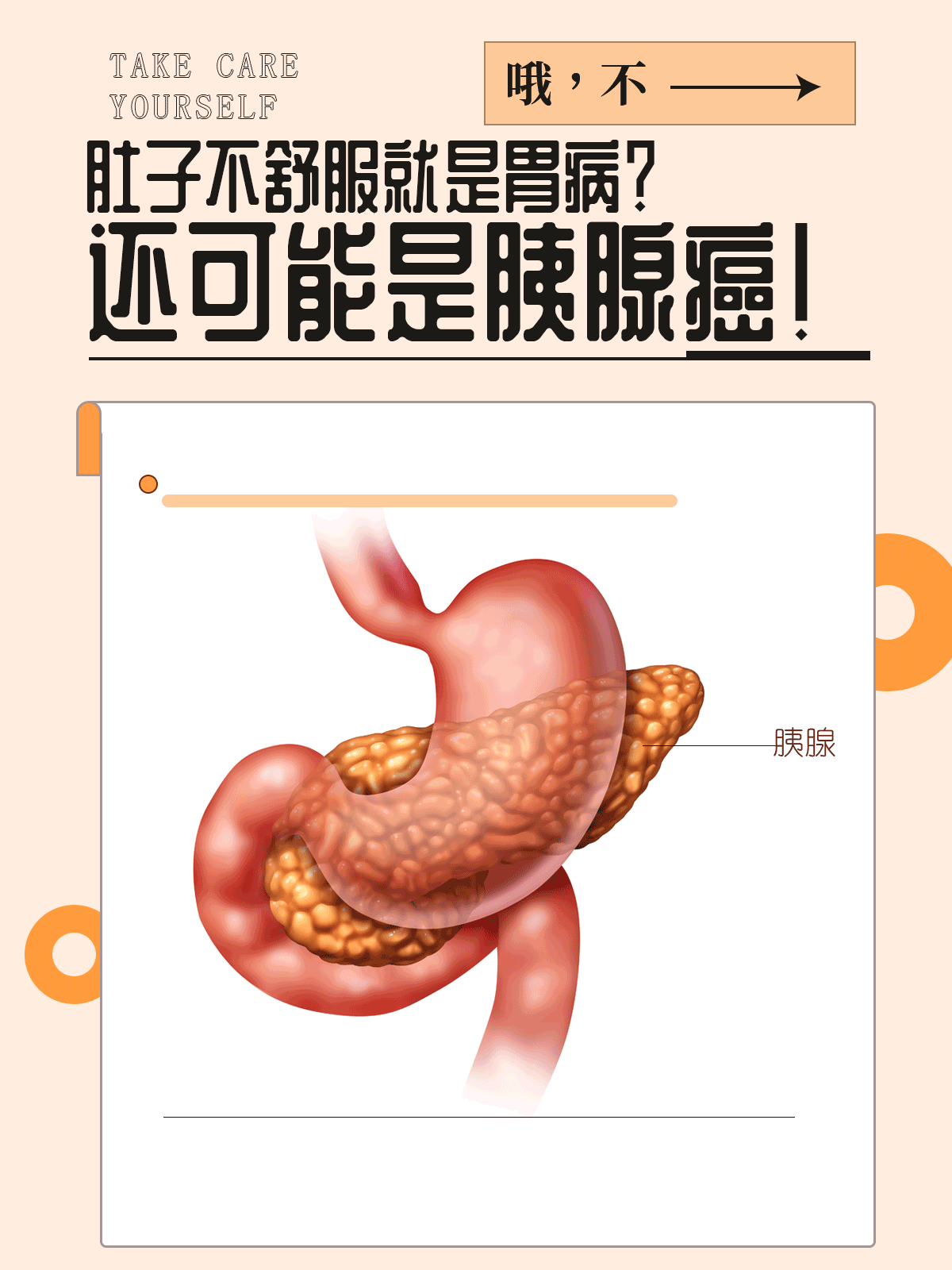 胃和胰腺不舒服的区别图片