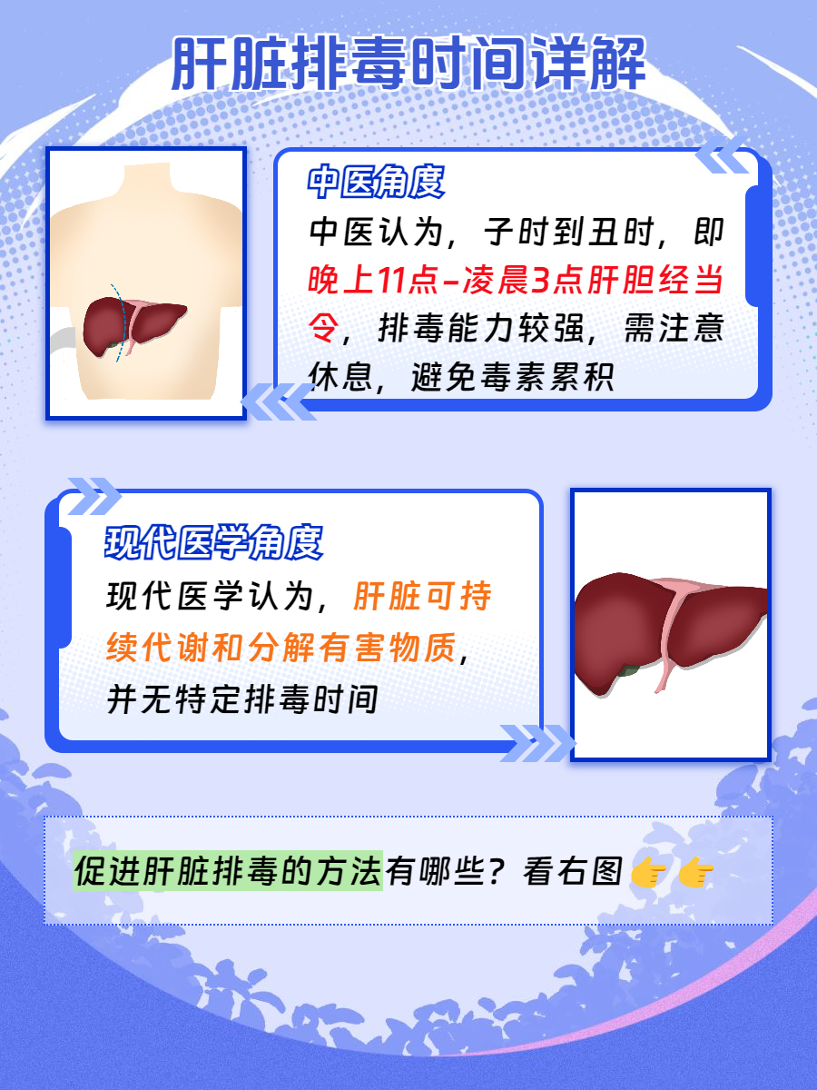 为什么肝脏对身体如此重要？