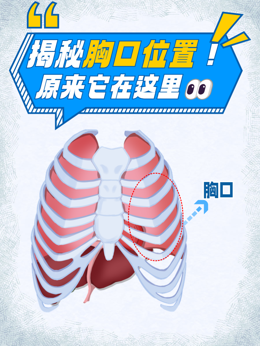 揭秘胸口位置!