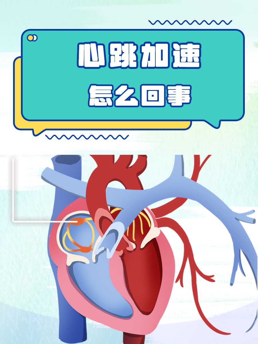 心跳加速怎么回事?
