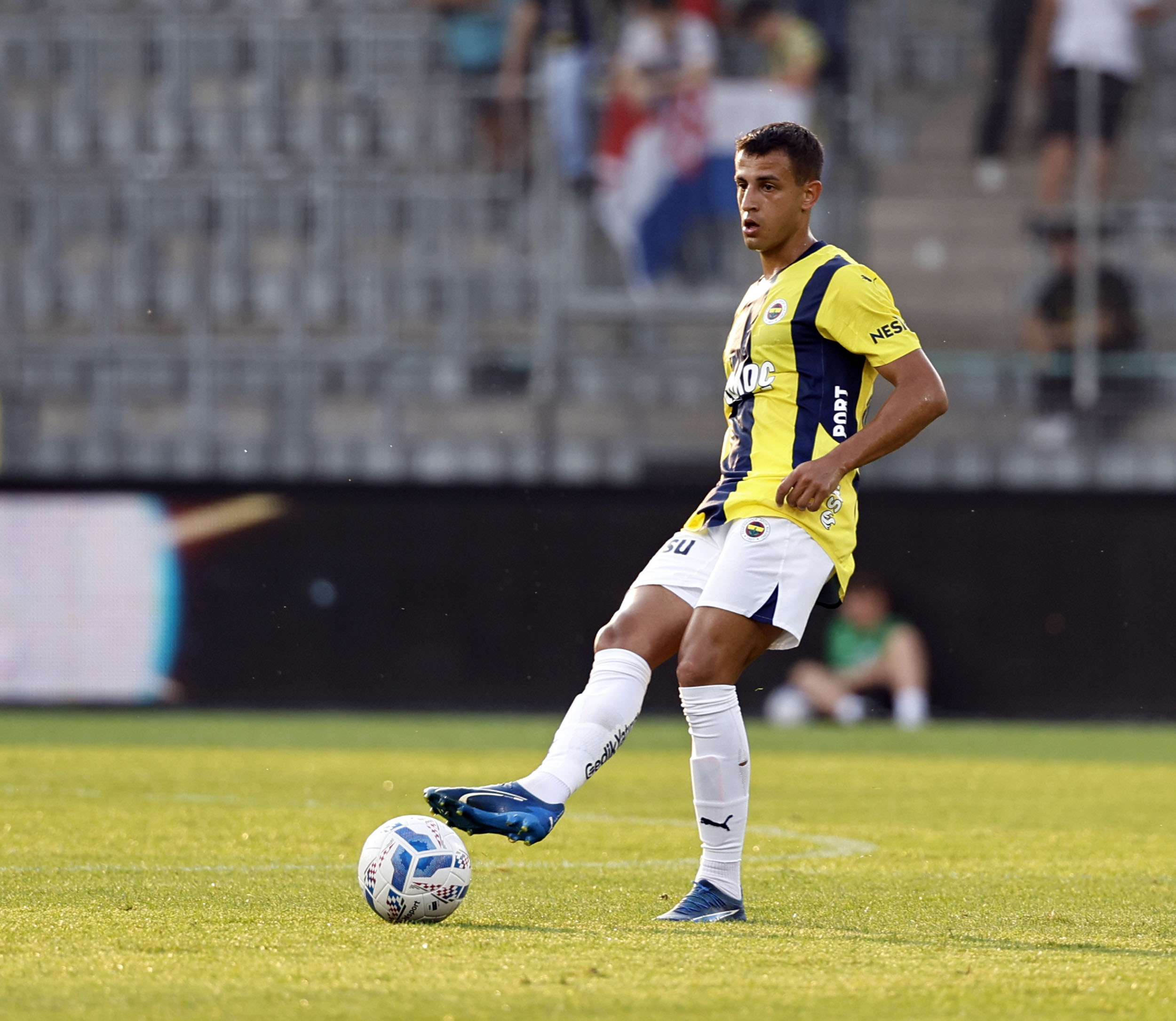 1 斯普利特海杜克