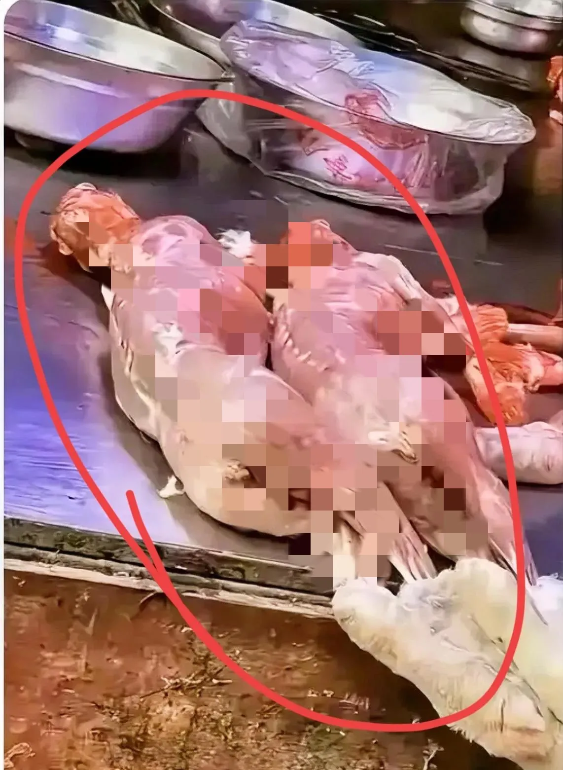 你知道那种一眼看过去,整个人都愣住了的感觉吗?