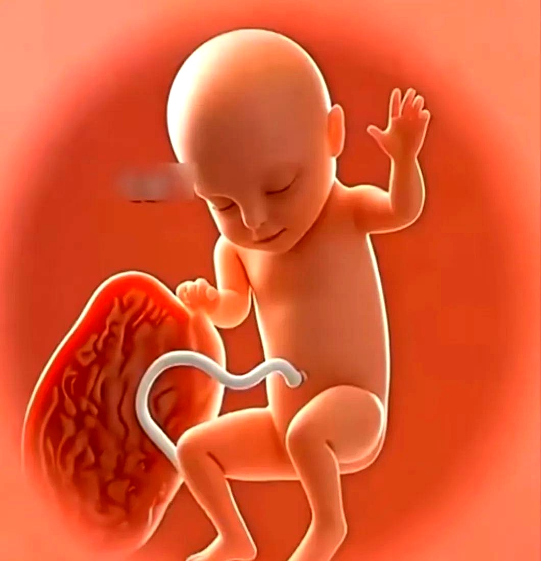 孕妈妈们,你们有没有发现?