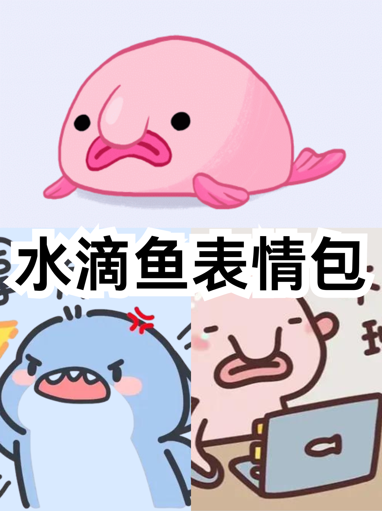 水滴鱼表情包  滴鱼因其独特的外形而在网络上引发了不少创意,也有了