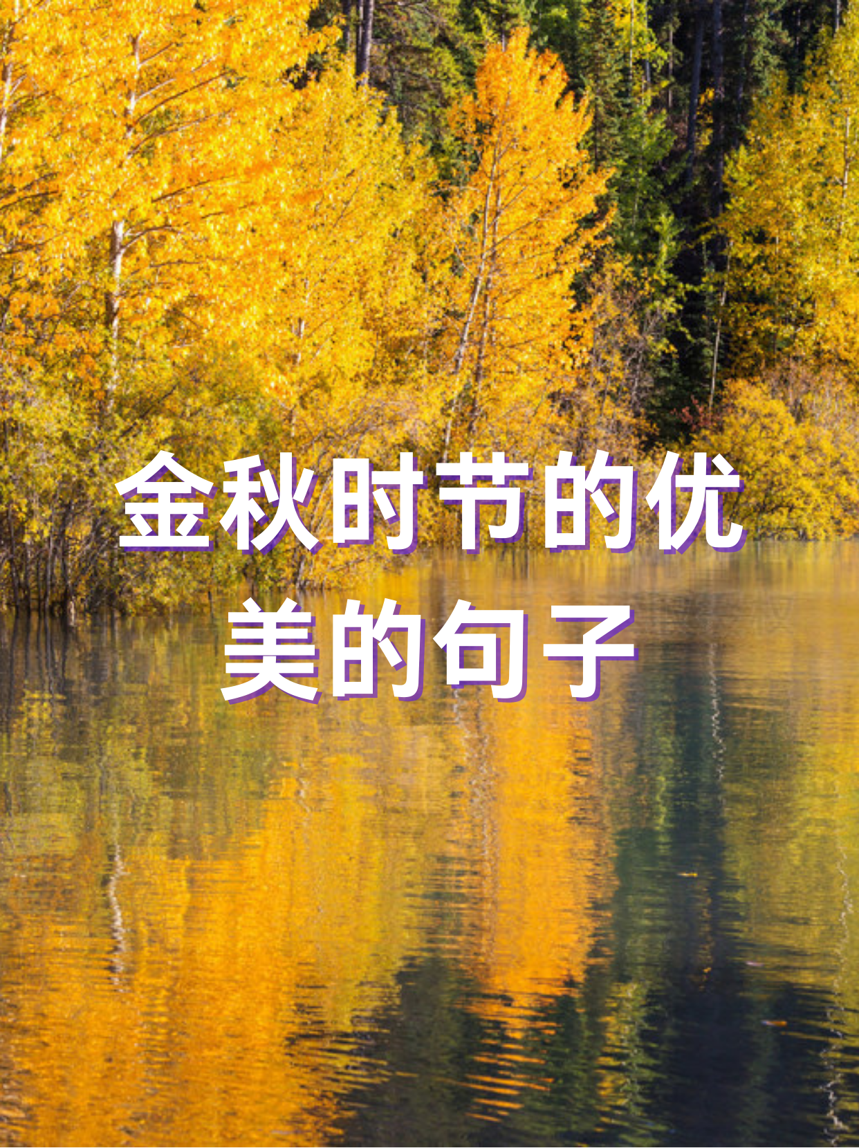 金秋时节的优美的句子
