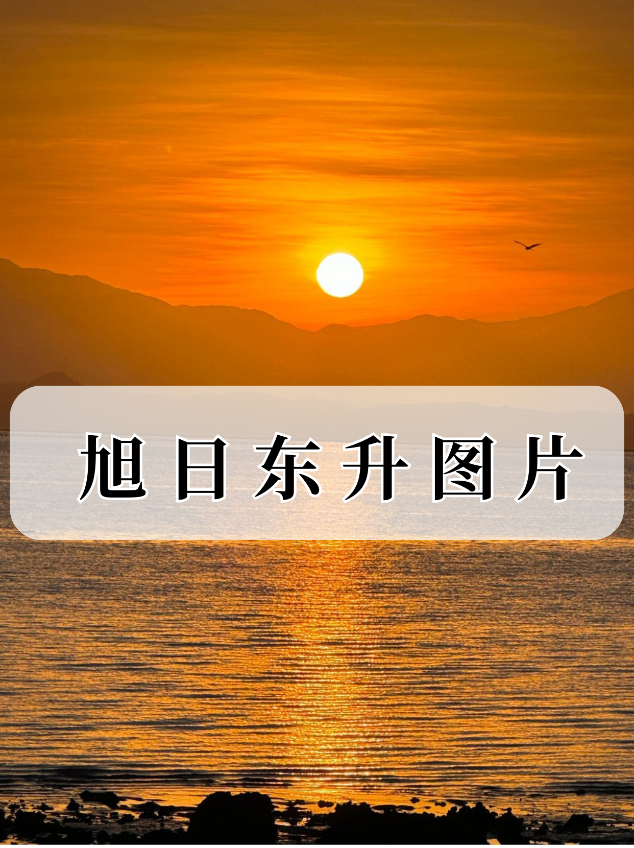 宝子们,准备好和我一同沉浸在这充满希望与美好的旭日东升