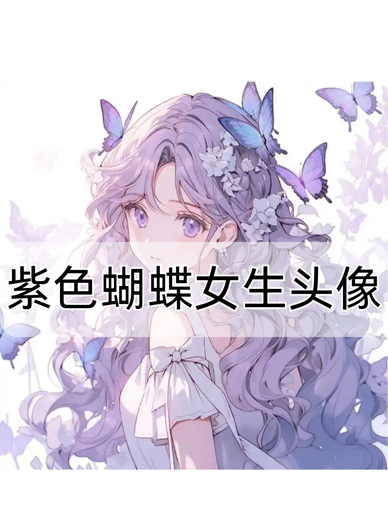 宝子们,今天我要给大家分享一波美炸了的紫色蝴蝶