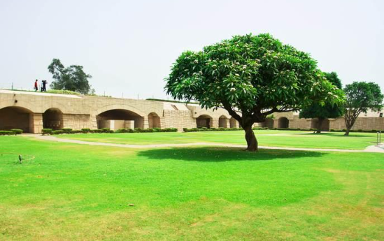 在甘地陵被印度大妈认成祖孙三代】