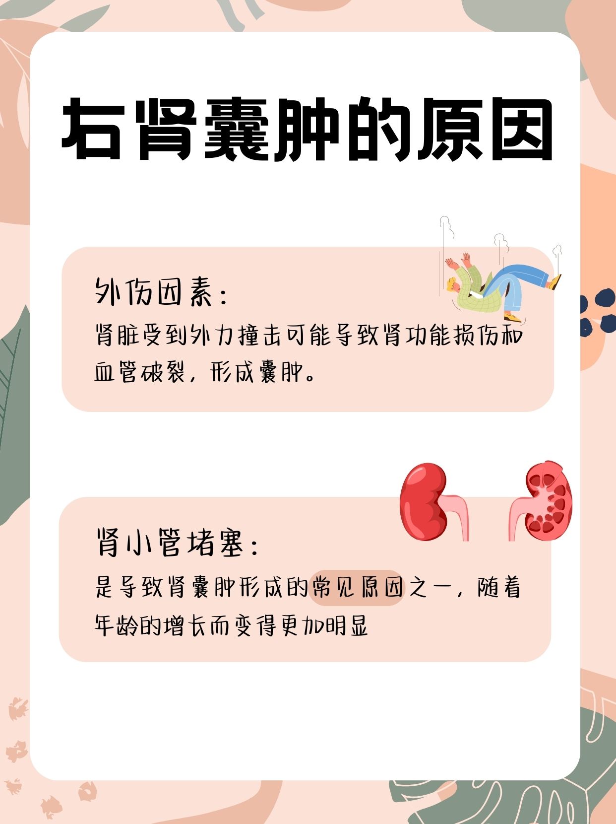 右肾囊肿怎么回事 右肾囊肿是指右侧肾脏壁上积液异常生长,形成充满