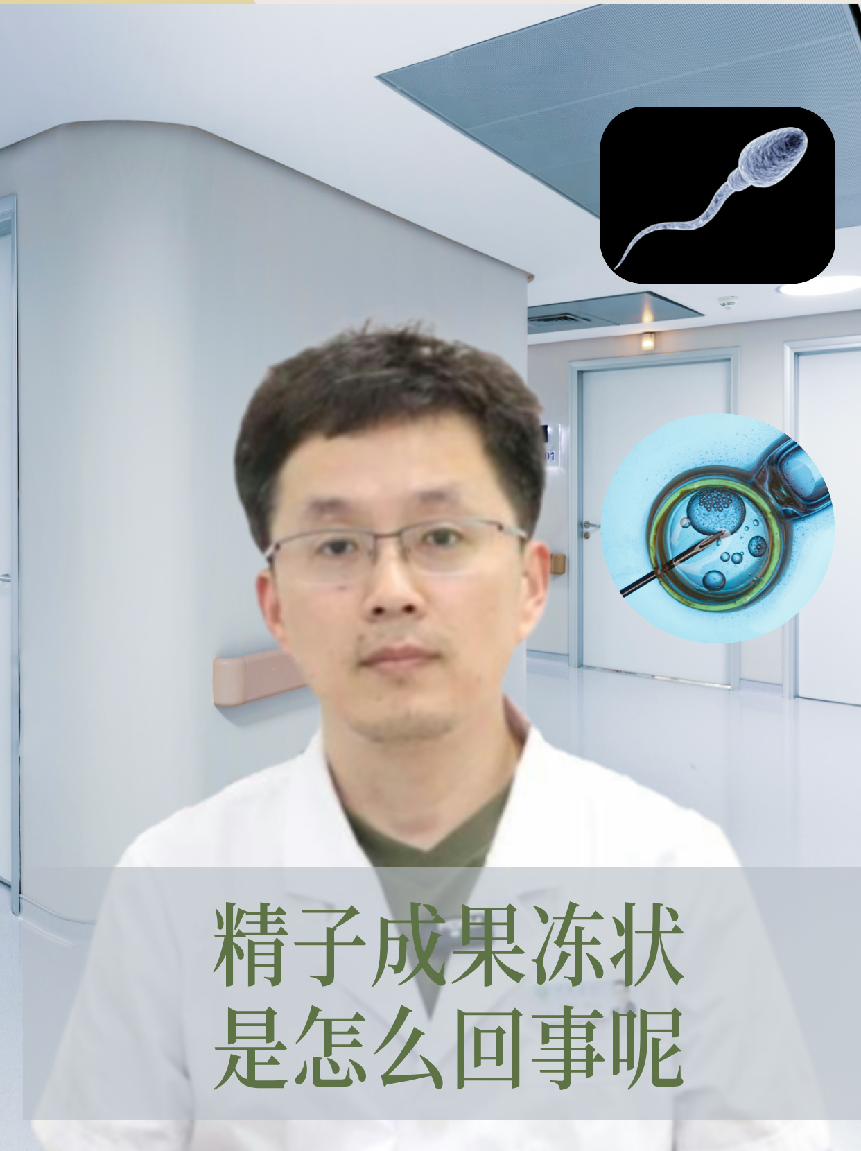 精子成果冻状是怎么回事 精子是促性腺激素的作用下,睾丸曲细精管内的
