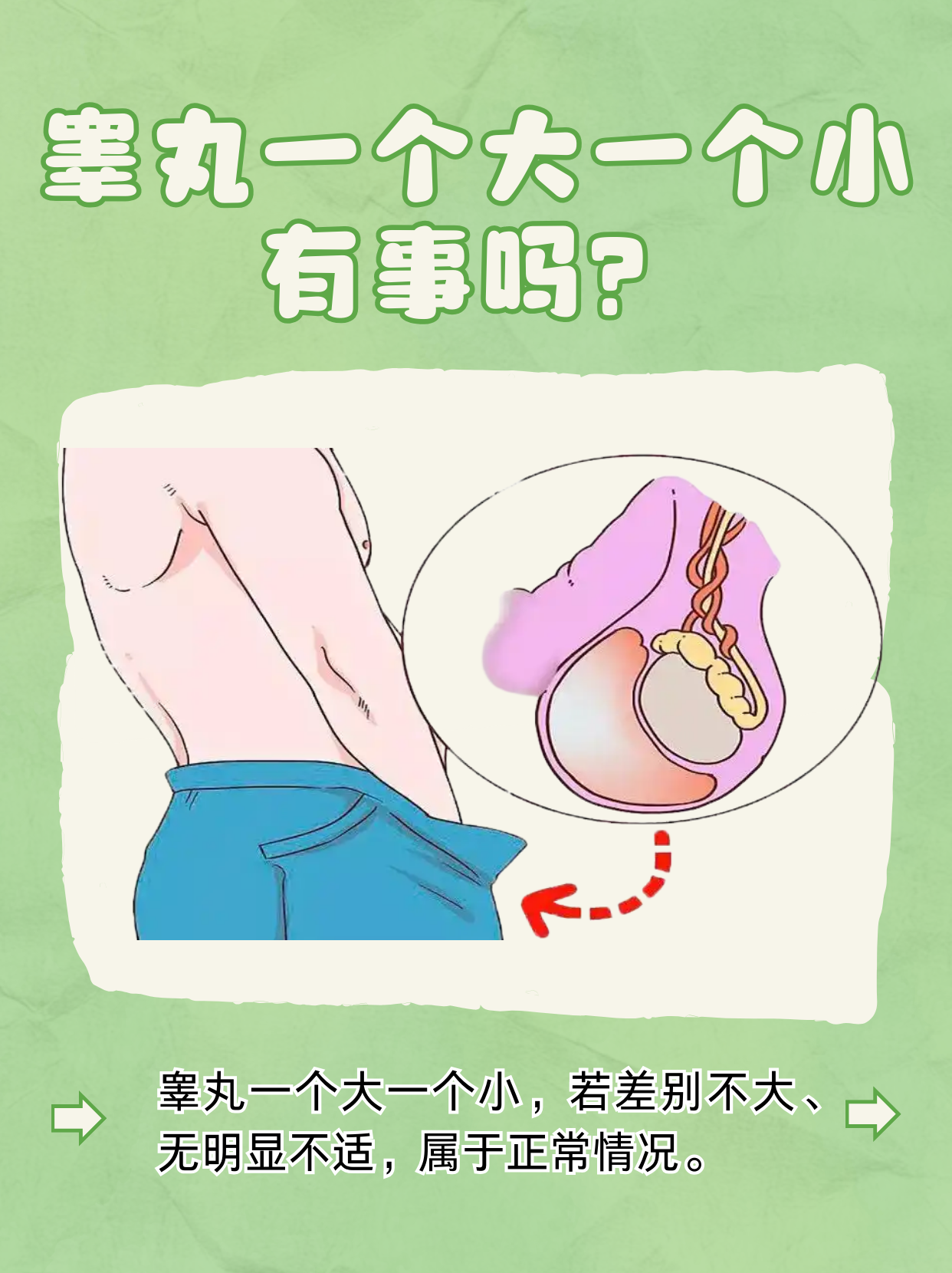 睾丸一个大一个小是怎么回事?