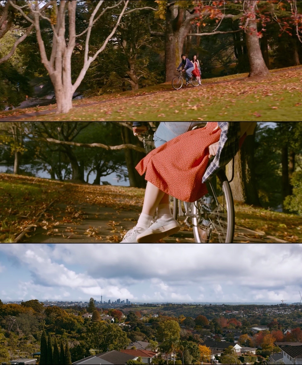 分享几部适合秋天看的电影,唯美治愈,充满诗意与哲思