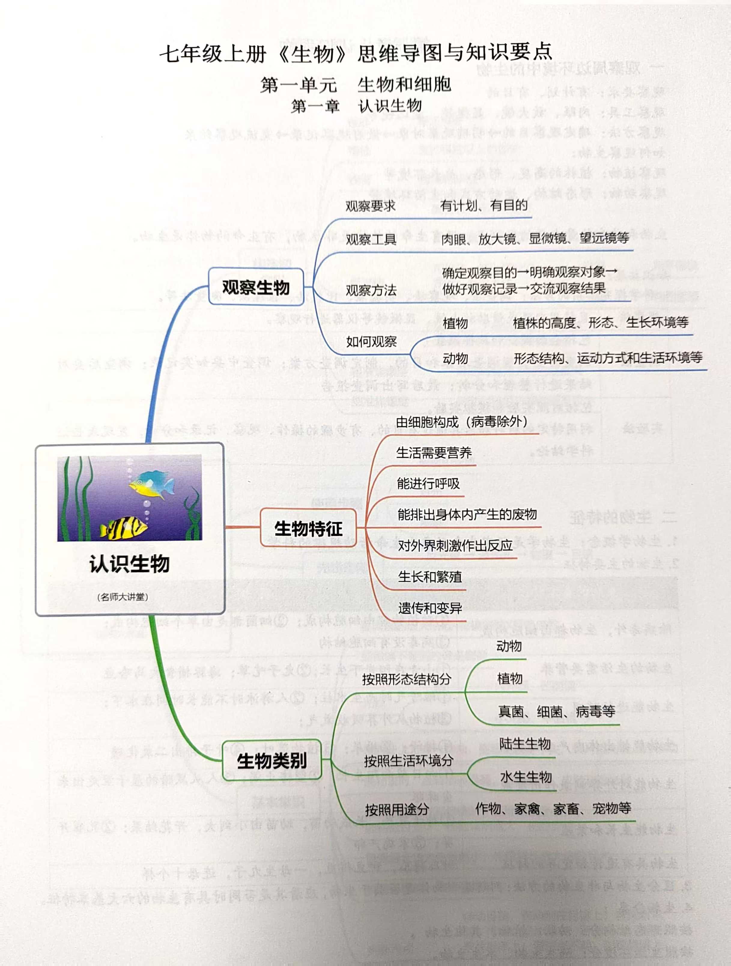 思维导图生物第一单元图片