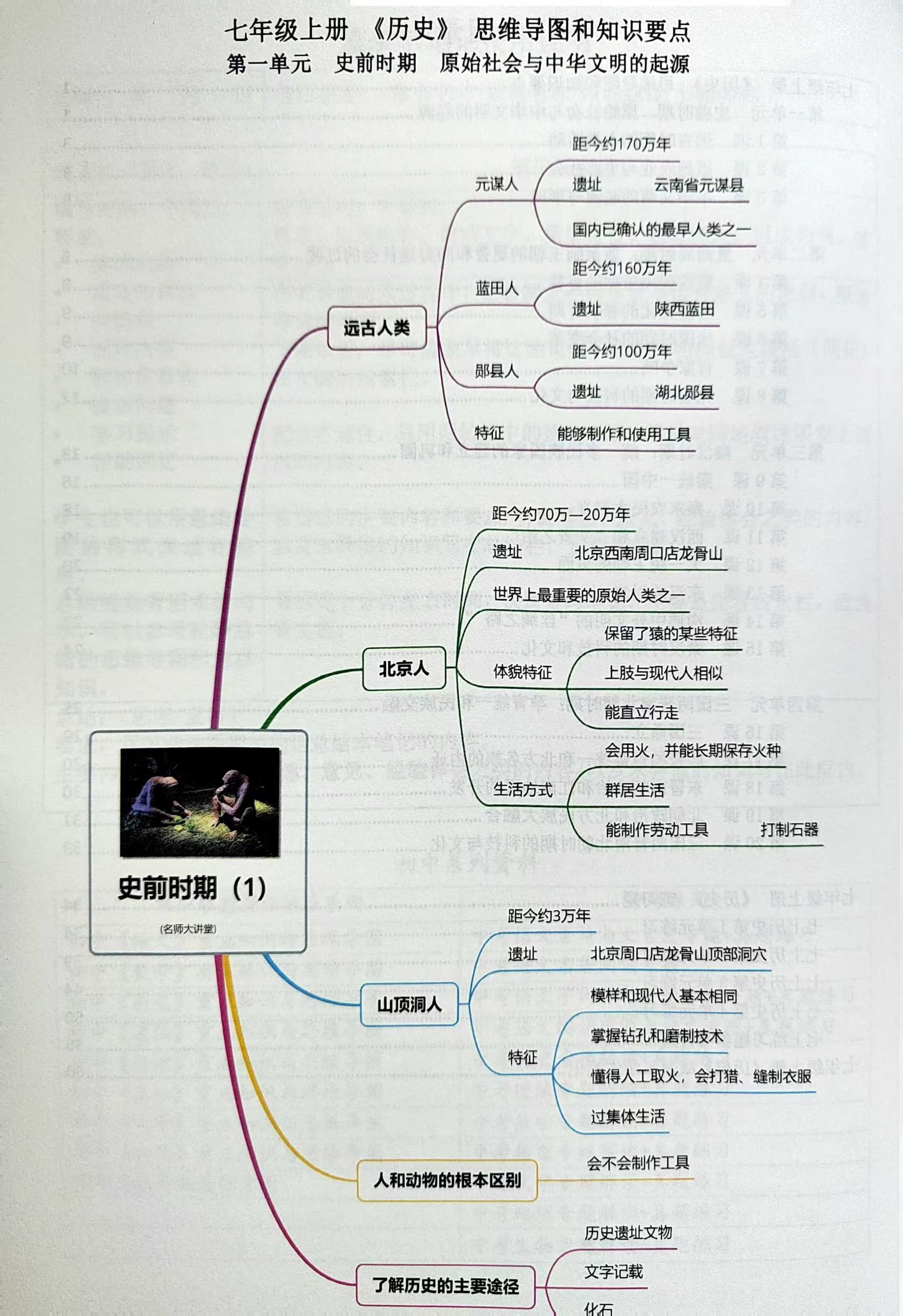 基地思维导图初中图片