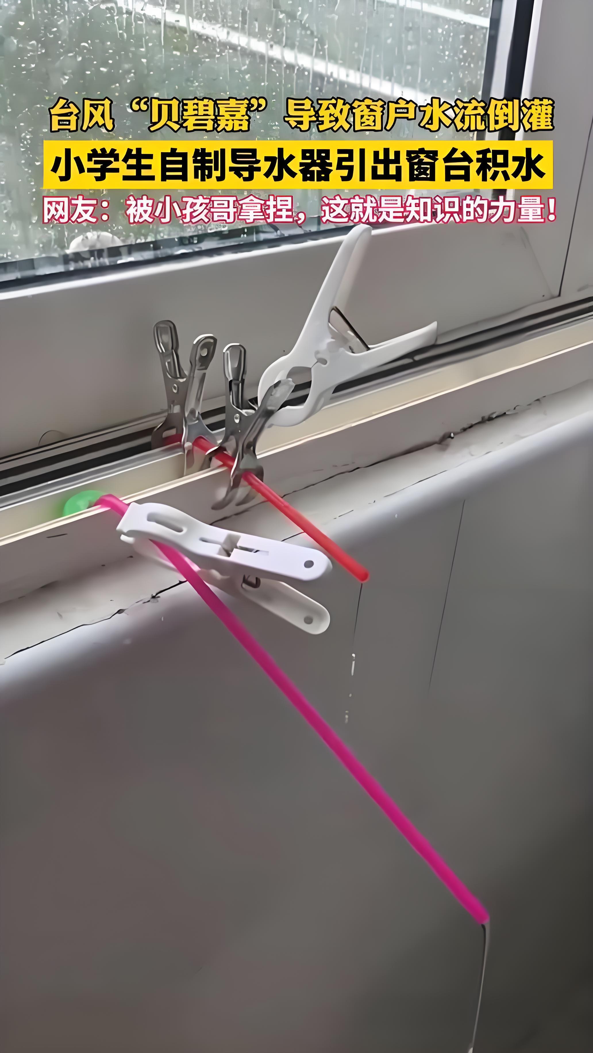 一群机智的小学生没有选择退缩,而是利用手头简单的材料——四个夹子