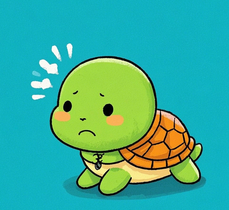 1 频繁打扰乌龟头像小乌龟小乌龟图片小乌龟图片卡通可爱小乌龟可爱