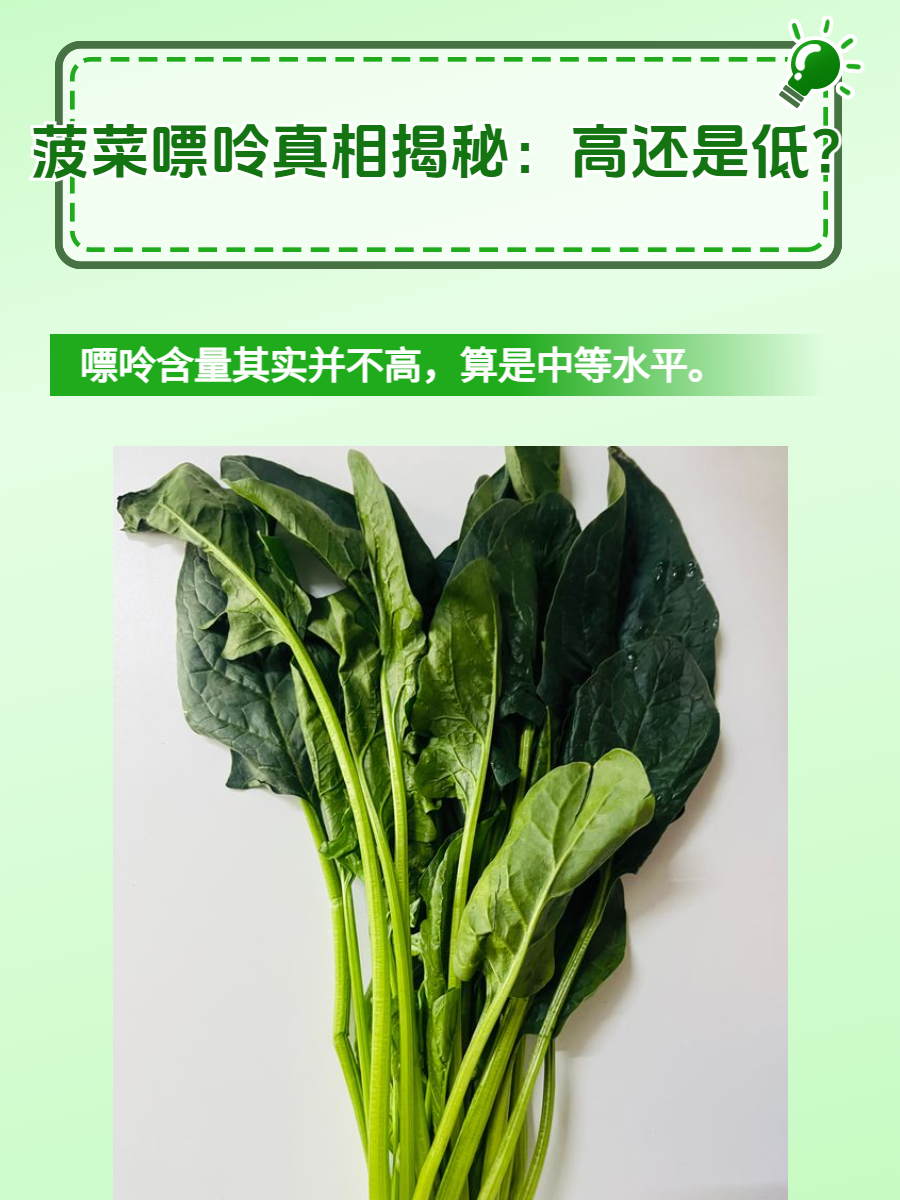 跟菠菜相似的菜图片图片