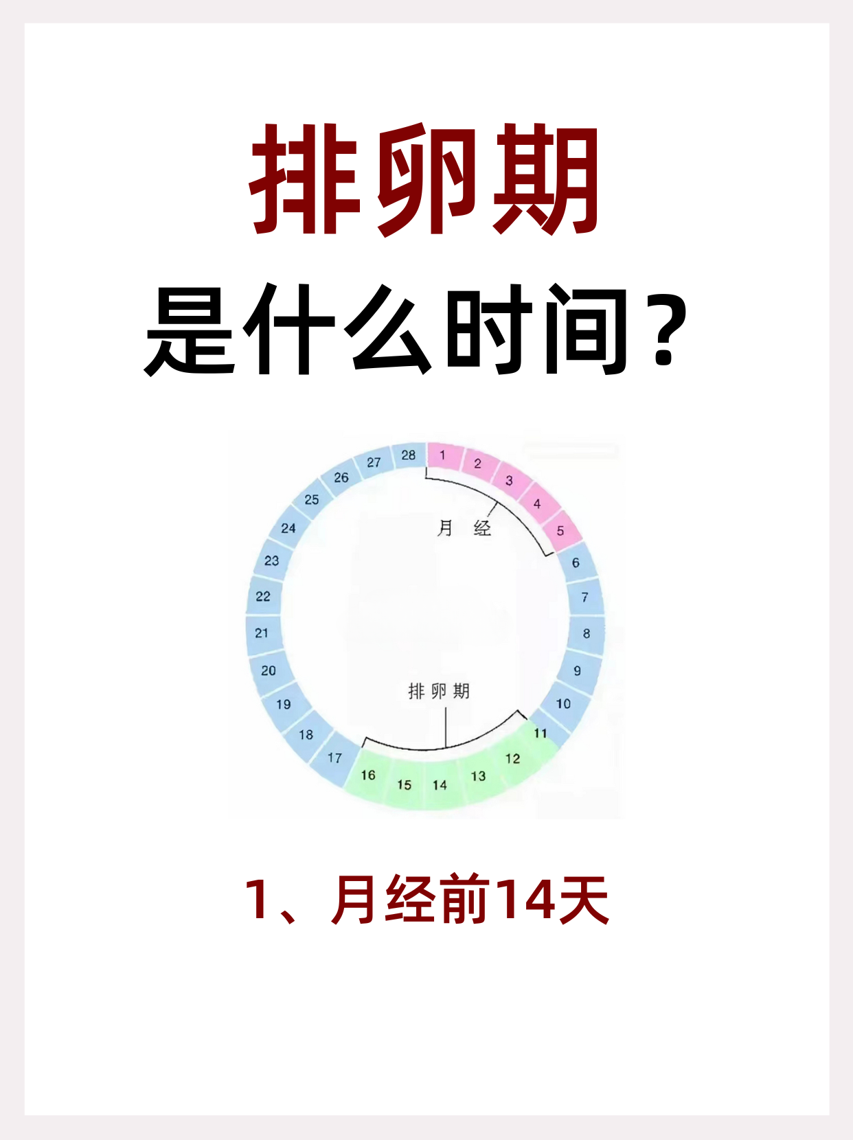 一,女性排卵期的时间 1,月经周期规律 排卵期通常在下次月经来潮前的