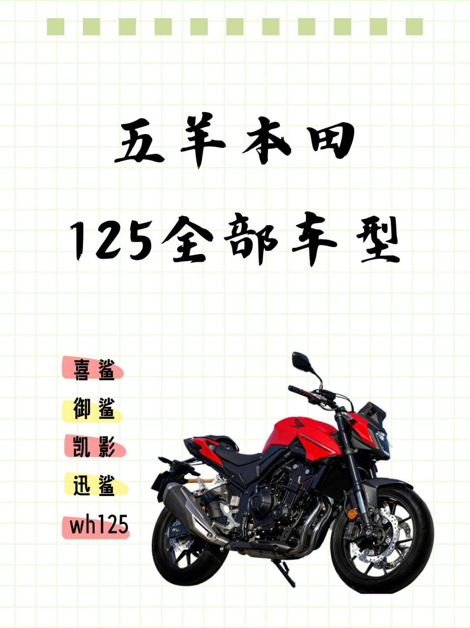 五羊本田wh125b参数图片