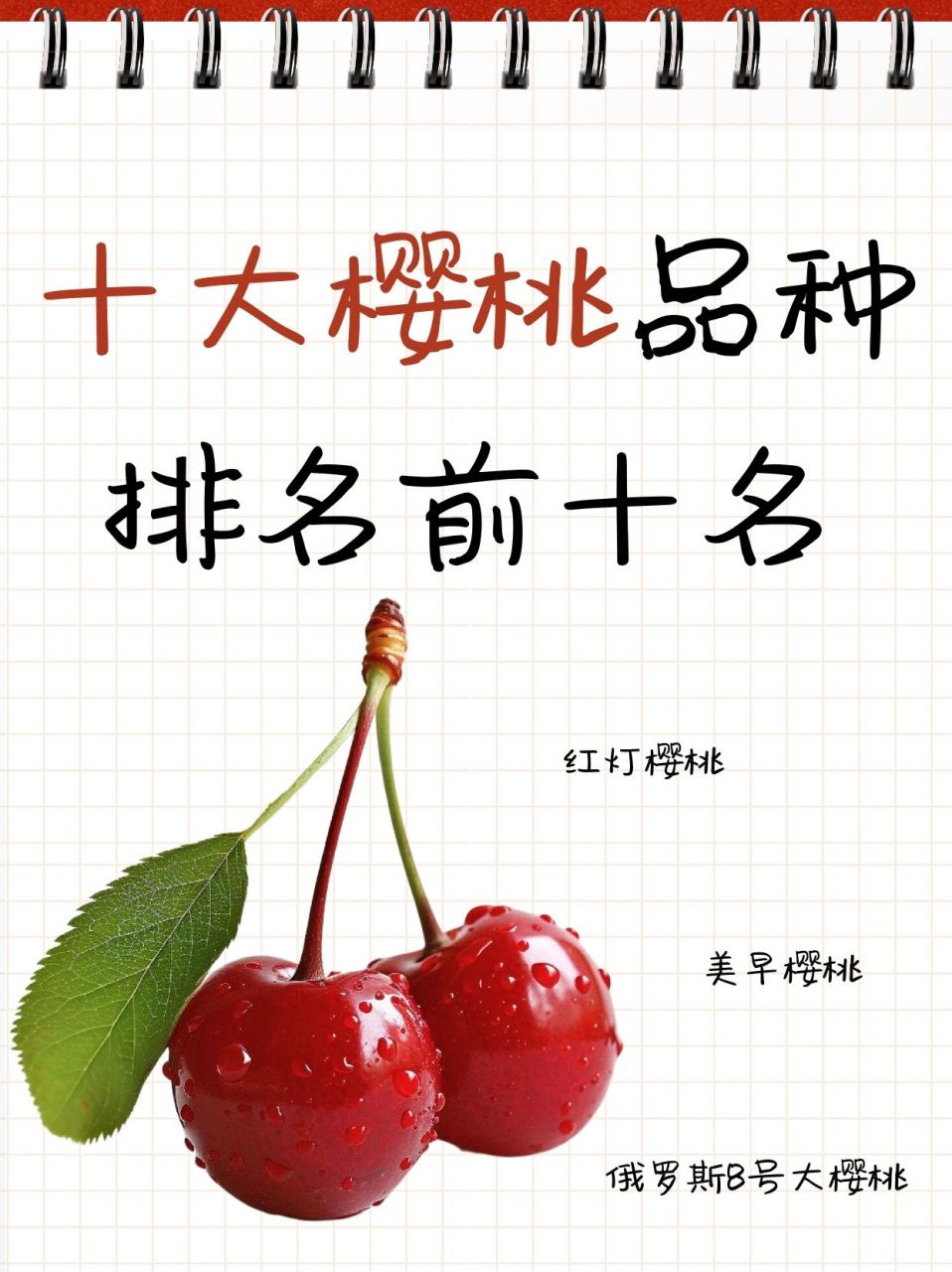 十大樱桃品种排名前十名  之前买樱桃都是在山姆极速达买瑞吉娜三斤装