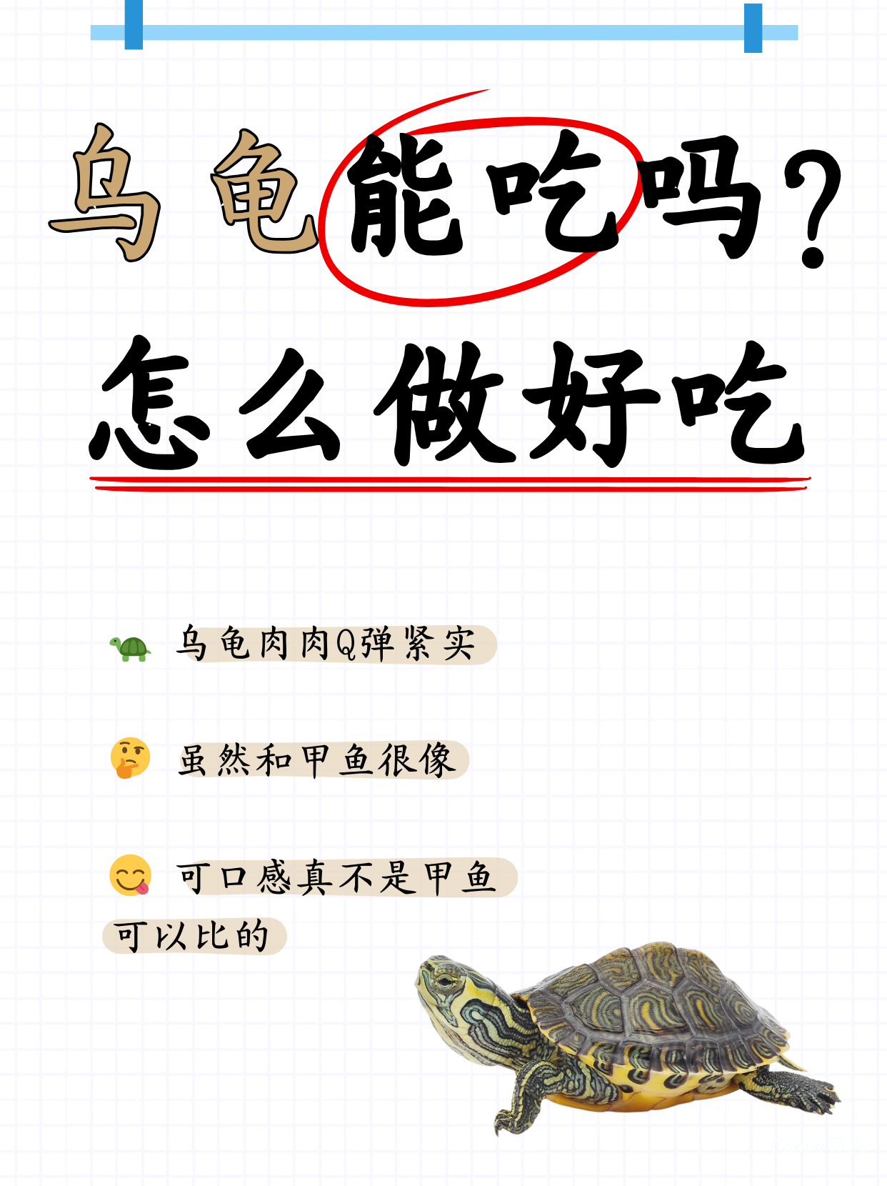 为什么叫王八看绿豆呢百科在线 为什么叫王八看绿豆呢百科在线