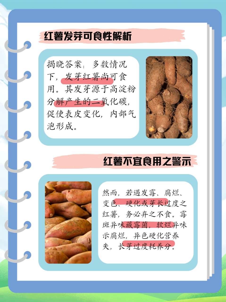 " 那么,红薯发芽了到底能不能吃71 答案是:部分情况下是可以吃的
