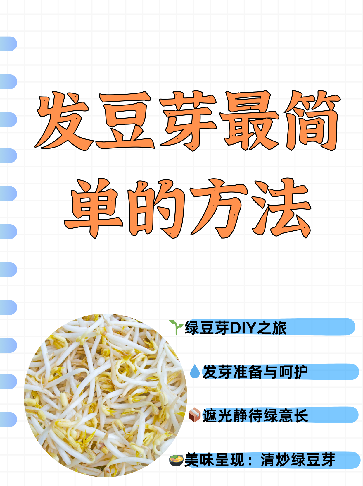 生豆芽简易新方法图片