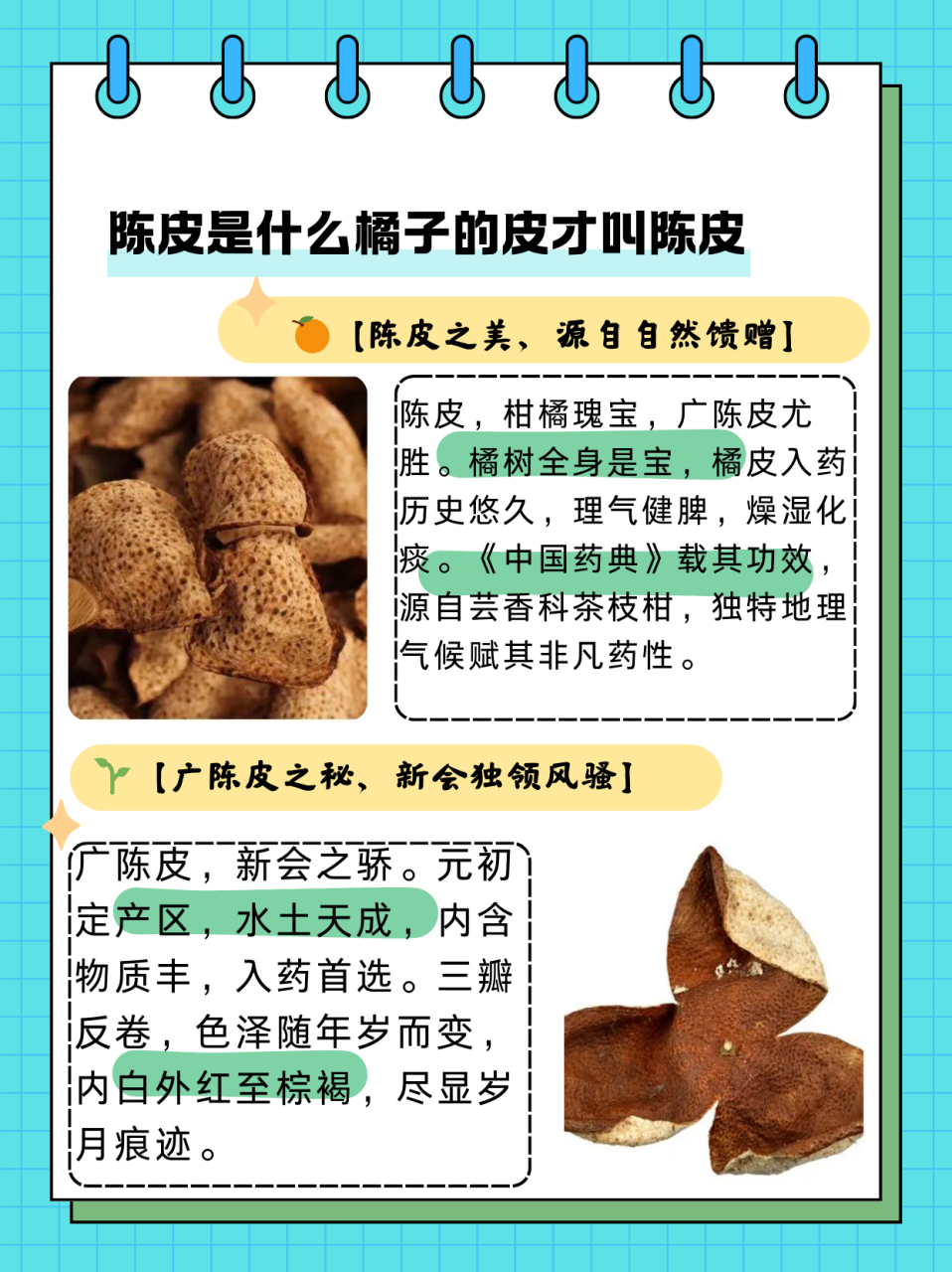 十年陈皮 功效图片