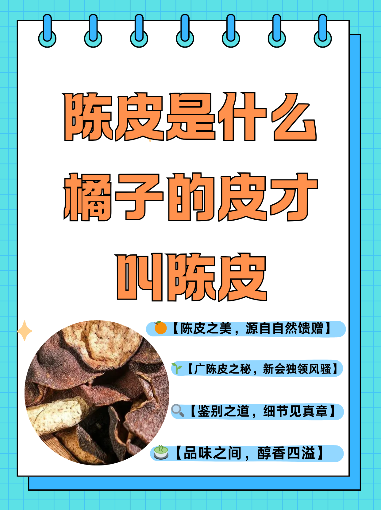 陈皮性味图片