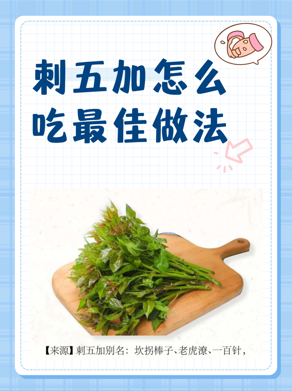 刺五加怎么吃最佳做法  宝藏95野菜刺五加,竟有意想不到的功效!