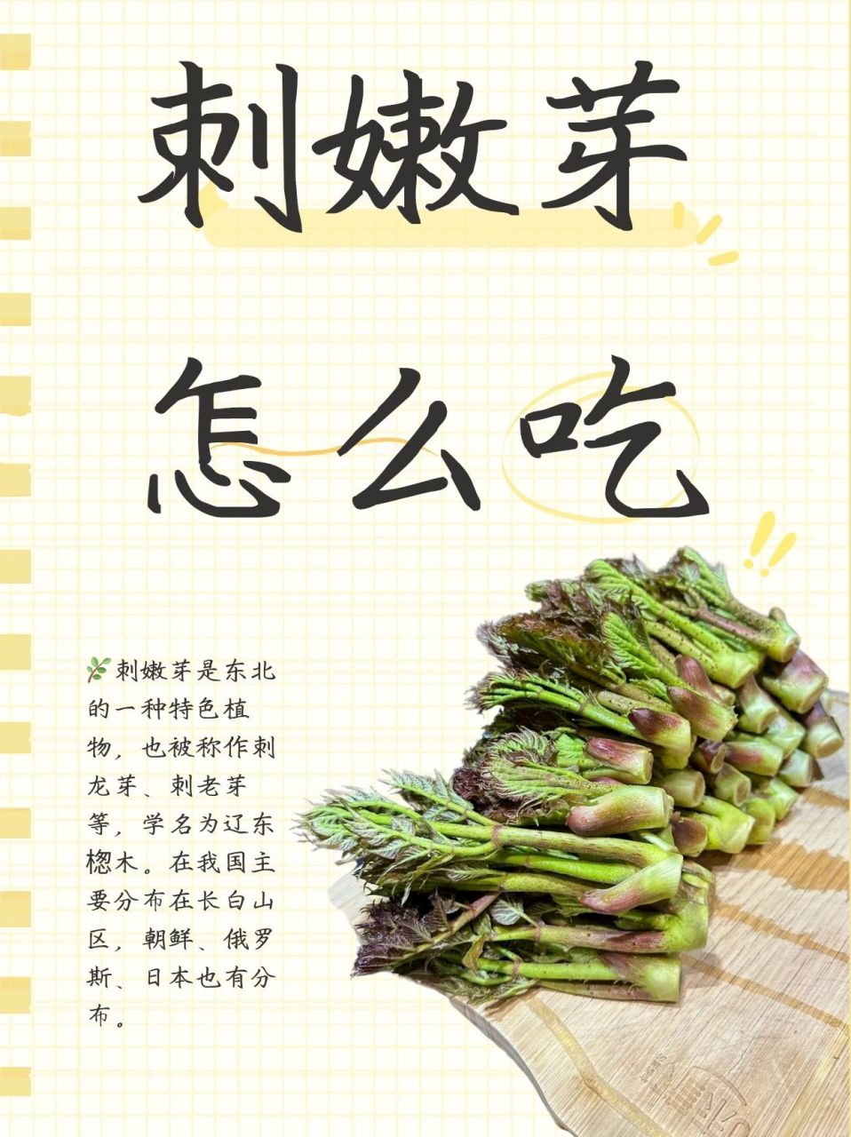 刺芽菜的功效图片