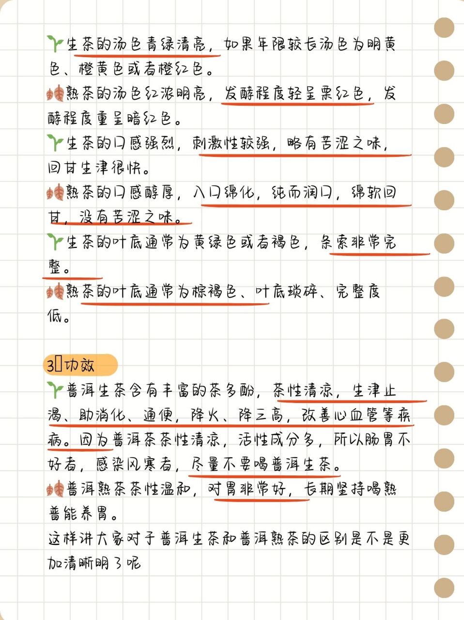 普洱茶区别于其他茶叶（普洱茶与其他茶类的区别）《普洱茶与其他茶的不同之处》