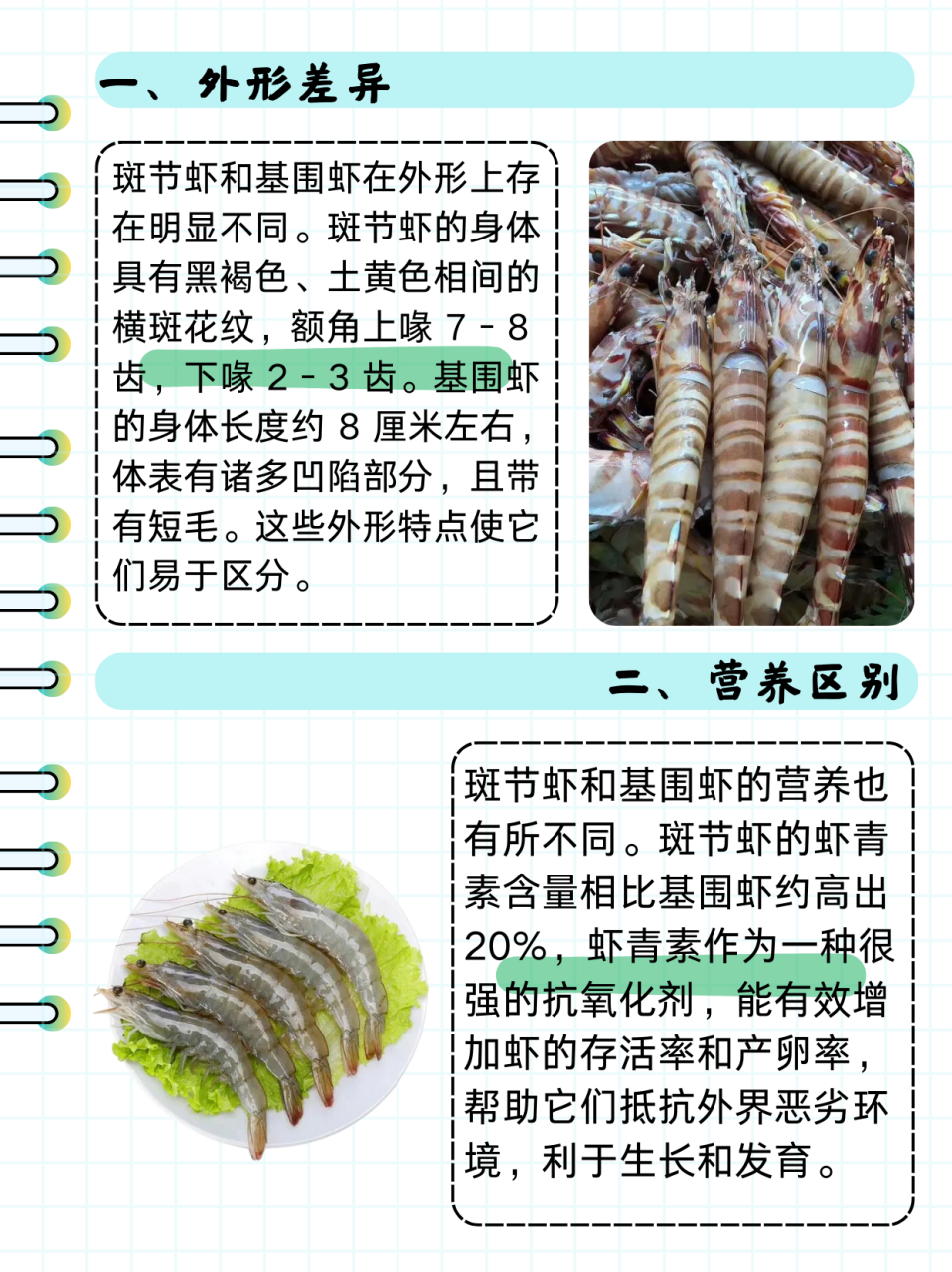 斑节虾和基围虾的区别  斑节虾和基围虾在外形,营养,产地与产季以及