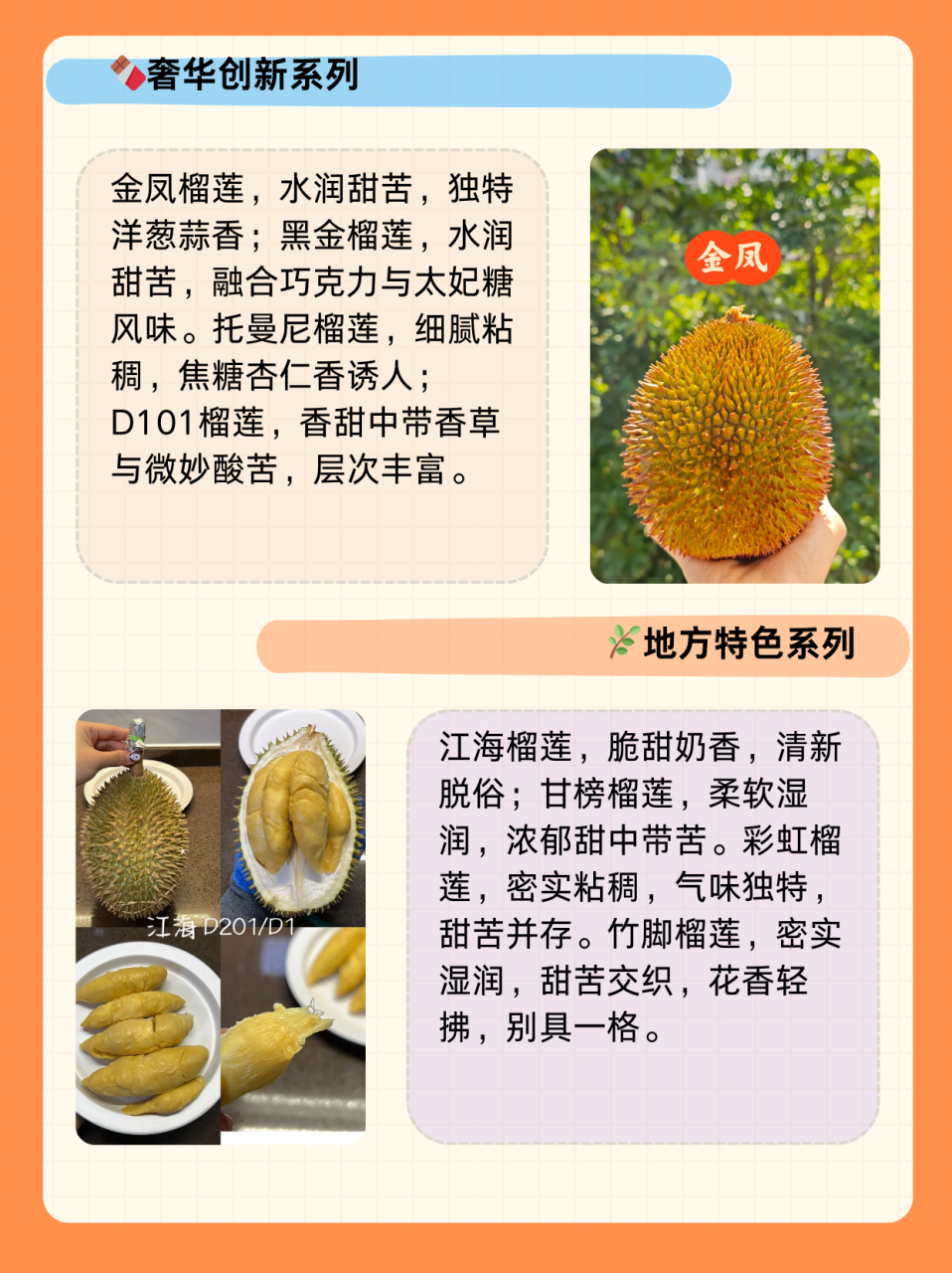 榴莲的品种这么多,你知道哪些71 7415苏丹王榴莲(d24 sultan