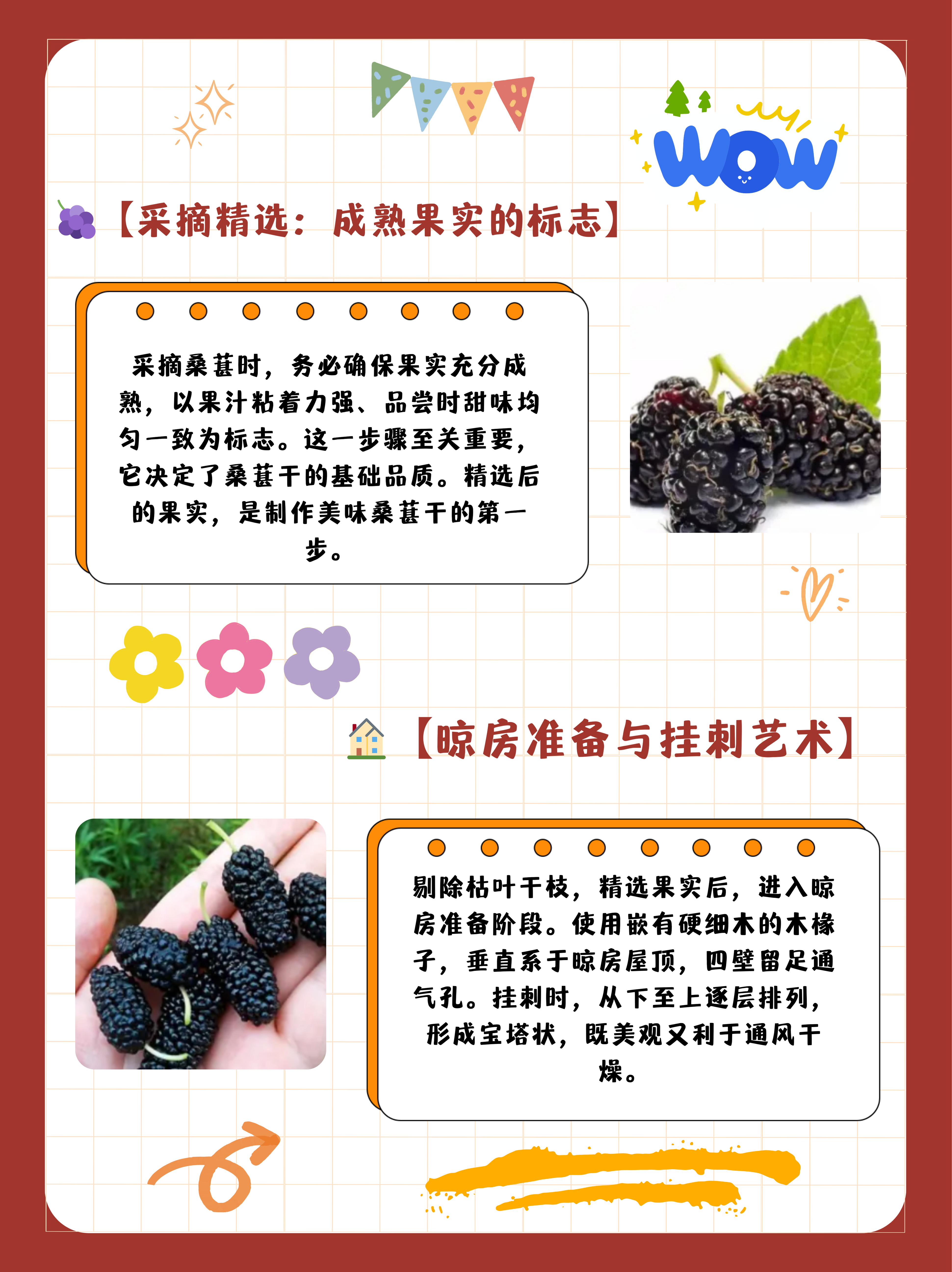 陈皮桑葚的功效与作用是什么(陈皮桑葚茶)