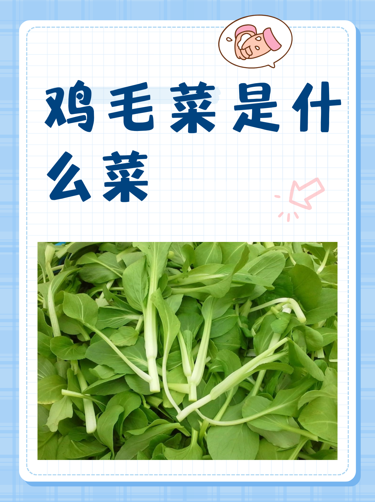 鸡毛菜是什么菜  鸡毛菜是绿叶蔬菜,十字花科植物小白菜(青菜)