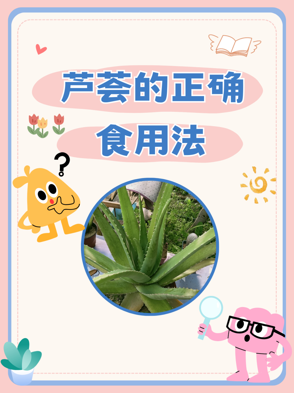 新鲜芦荟涂脸正确方法图片