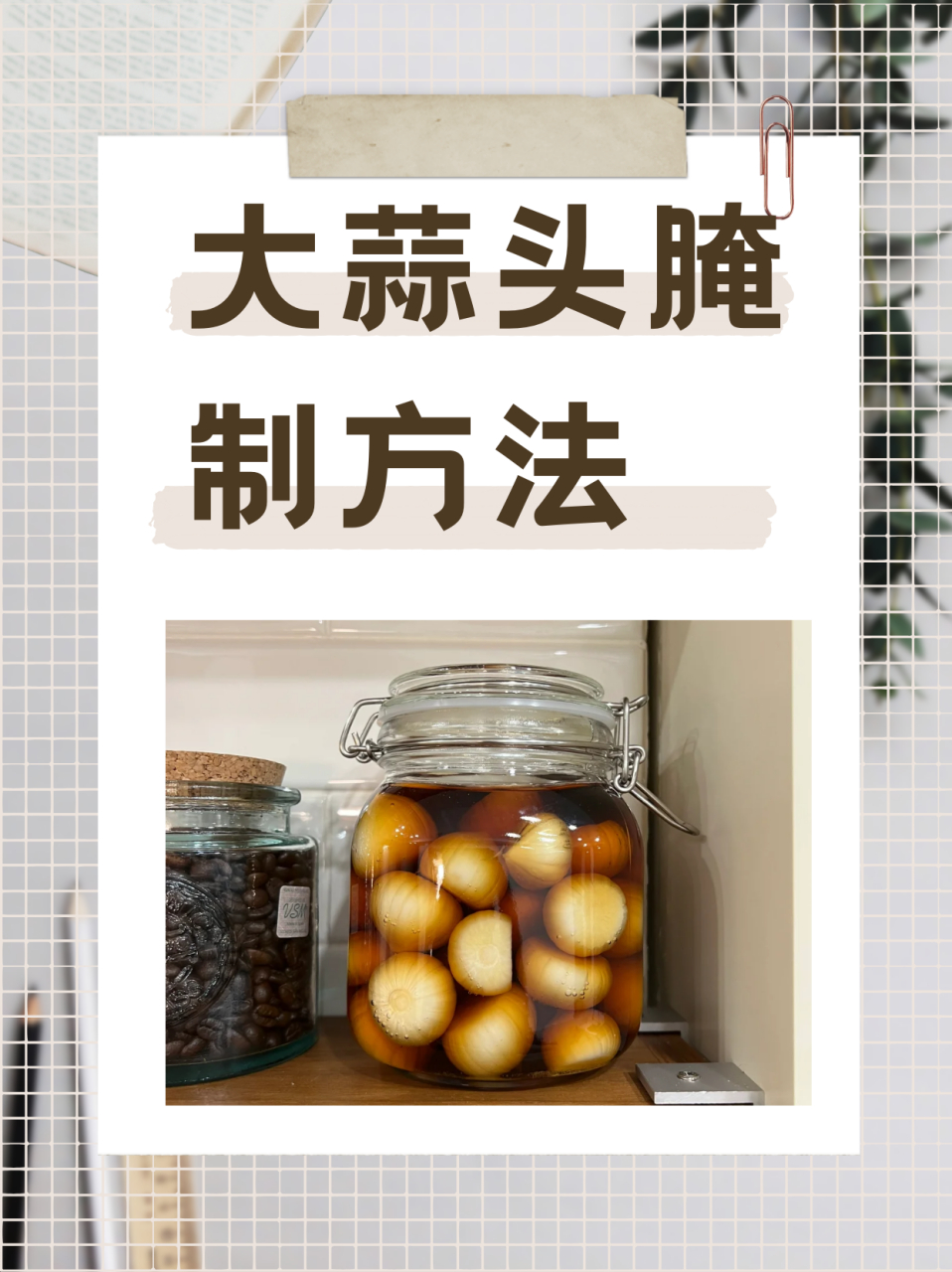 大蒜头腌制方法  1,做腊八蒜对于大蒜的选择是很重要的,腌腊八蒜最好