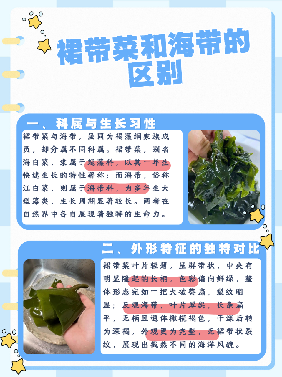 裙带菜和海带的区别  一,科属与生长习性 科属:裙带菜俗称海白菜,属于