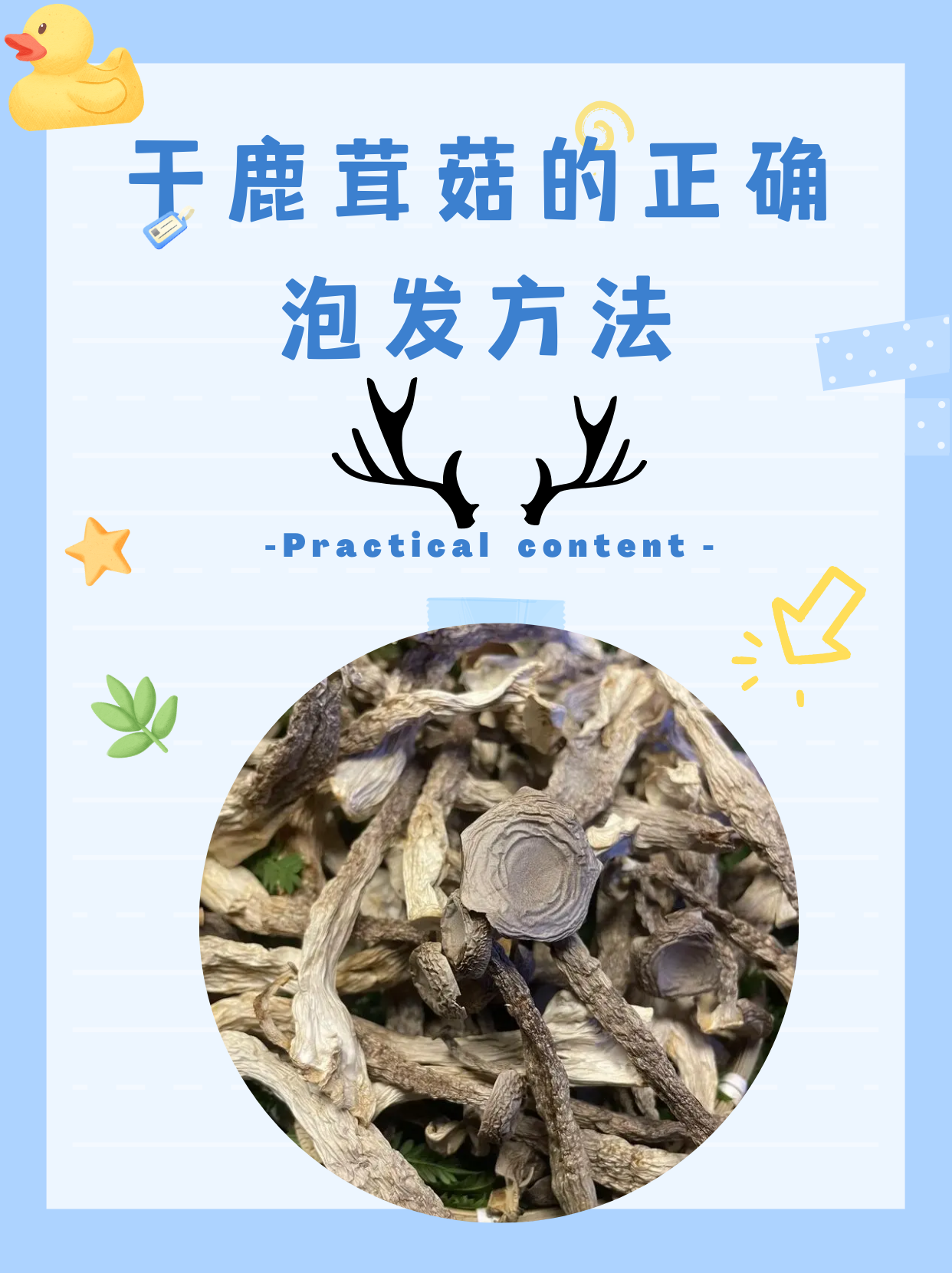 鹿茸菌做法图片