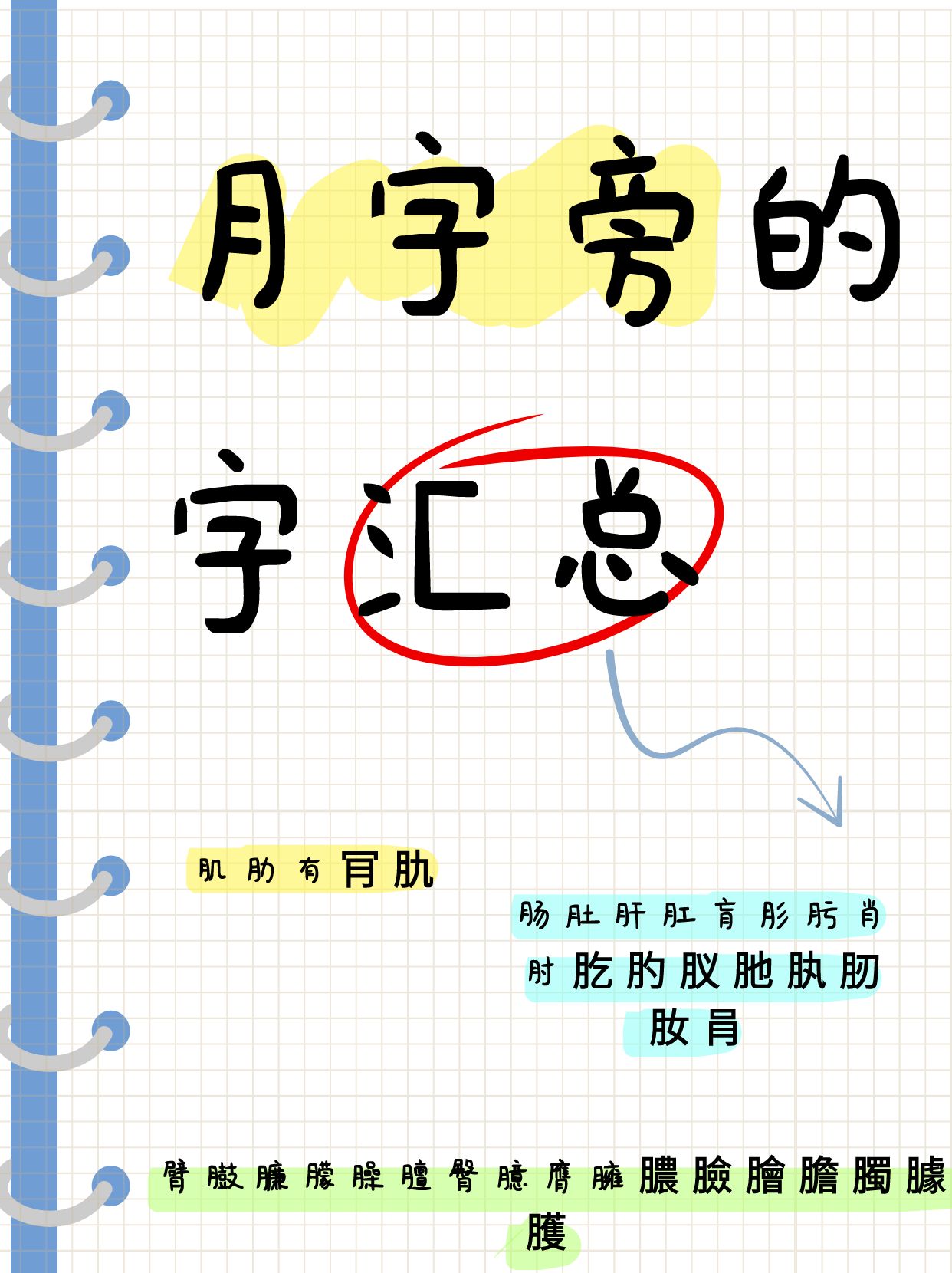 此处省略部分汉字 笔画8肮肪肥肺