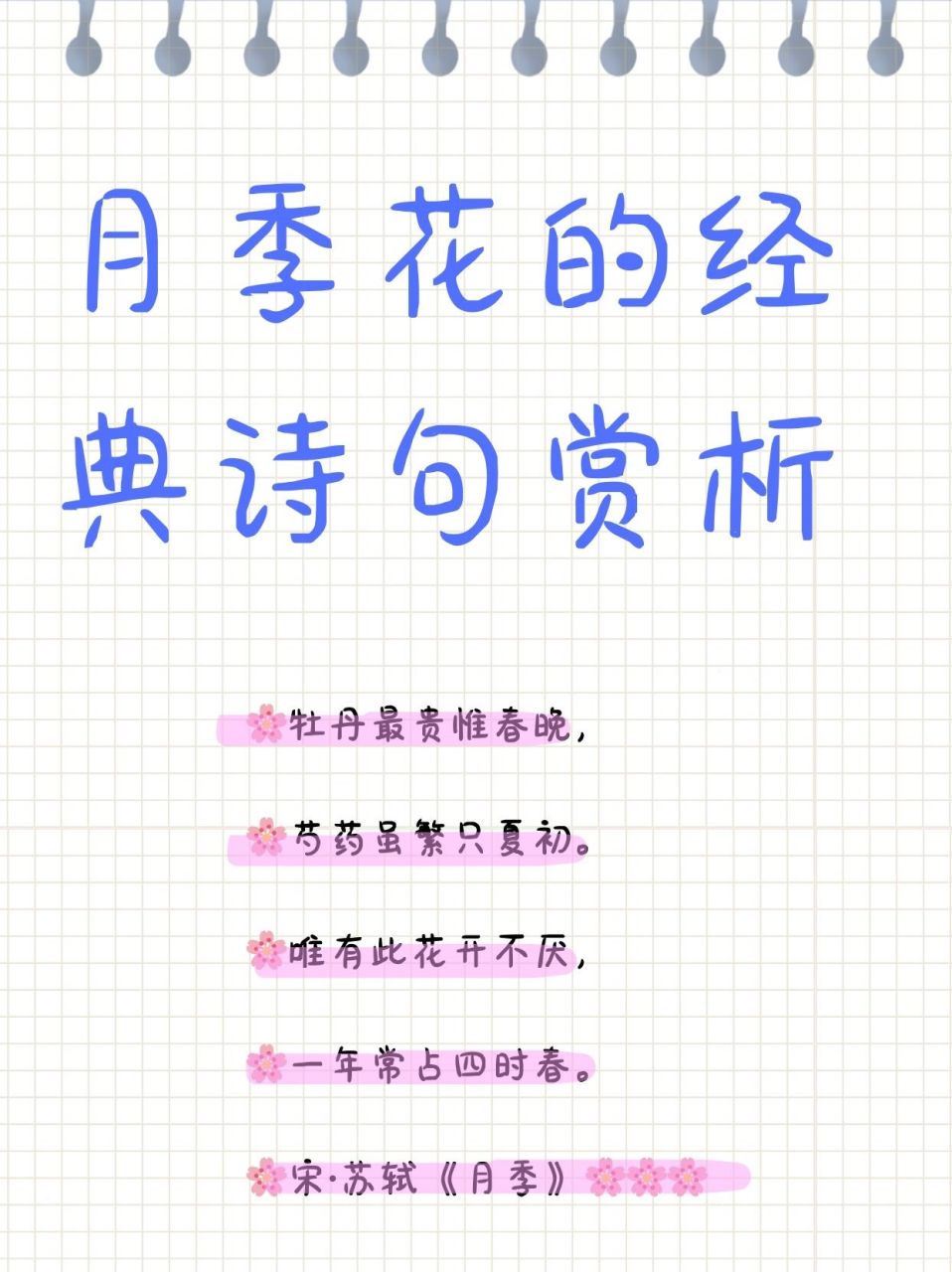 月季花的经典诗句赏析  去公园跑步,看到一团月季太美了,忍不住拍了几