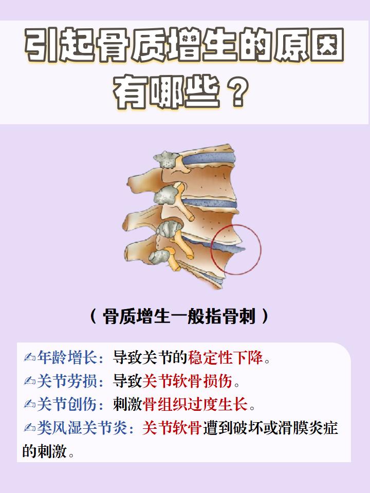 骨质增生在临床上又叫骨刺,它是人体自我修复而形成的.