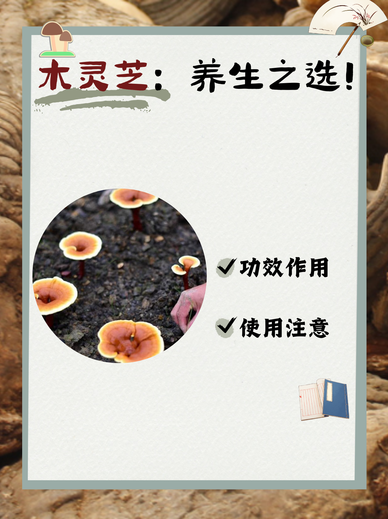 木灵芝的功效与作用 木灵芝是一种珍贵的中药材,主要成分包括多糖