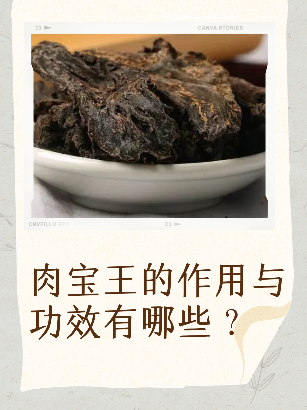 肉宝王的作用与功效 肉宝王是一种中药复方制剂,具有清热解毒,消肿