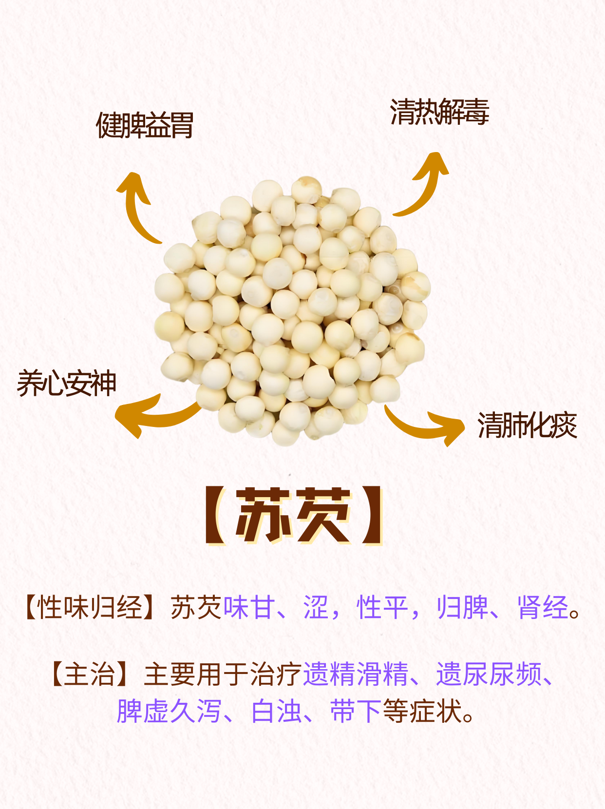 认识苏芡的四种功效与作用 苏芡,也称为芡实,是睡莲科水生草本植物芡