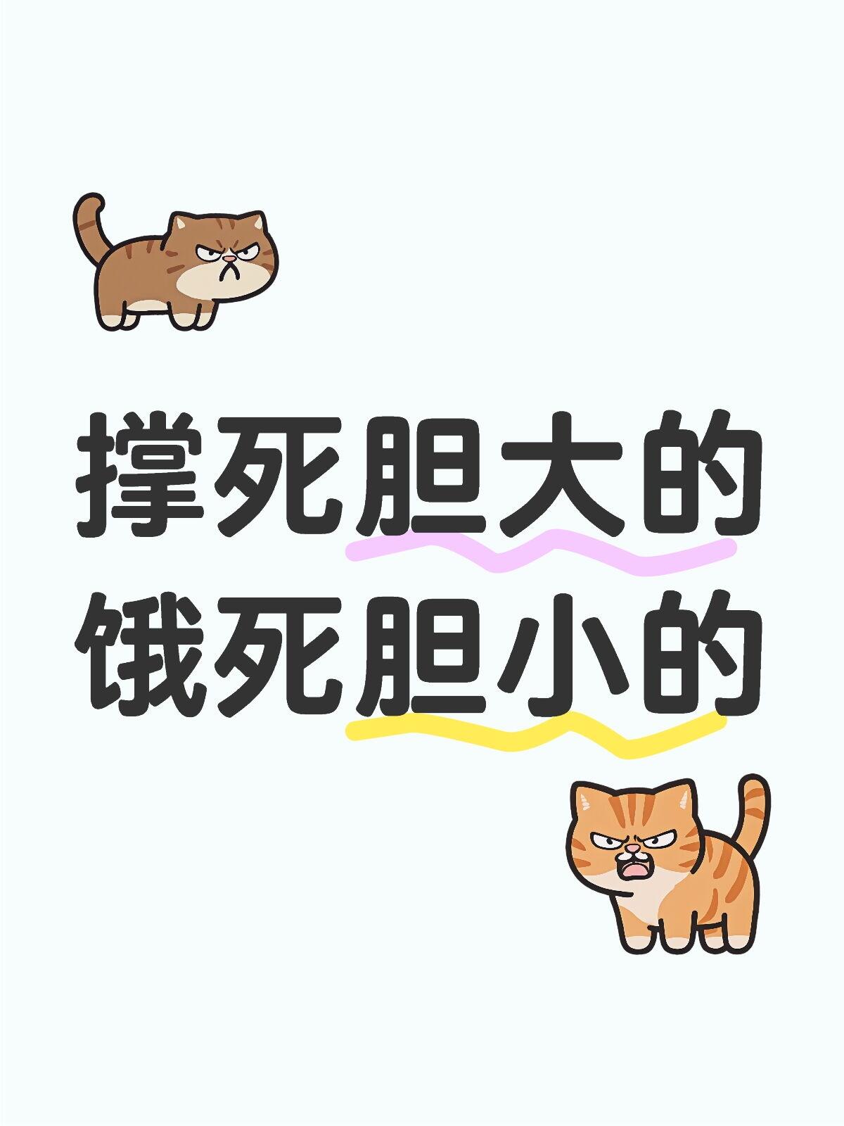 考研复试怎么有人找导师畏畏缩缩的
